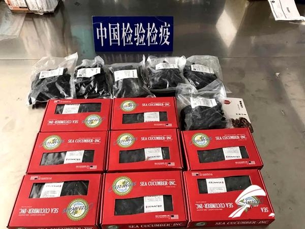 bf76c47f54ee5db54006a3f551d3cdf8_shandian_副本.jpg