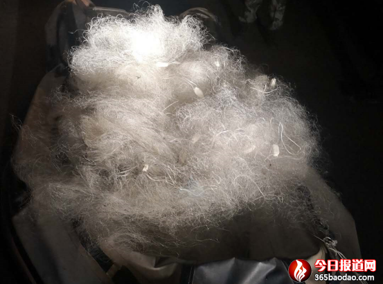 黑龍江賓縣:倆男子趁夜色偷捕魚 沒等下網(wǎng)就進了公安局31.png