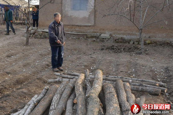 非法采伐國(guó)家重點(diǎn)保護(hù)林木 賓縣一年逾七旬老漢被采取刑事強(qiáng)制措施(2)(7)(1)427.png