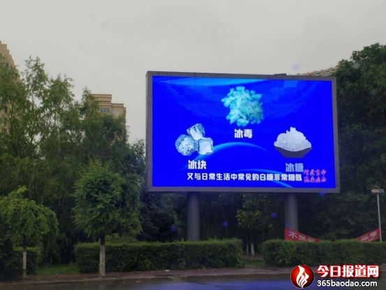美麗冰城我的家 無毒社會(huì)守護(hù)它(終)475_副本.jpg
