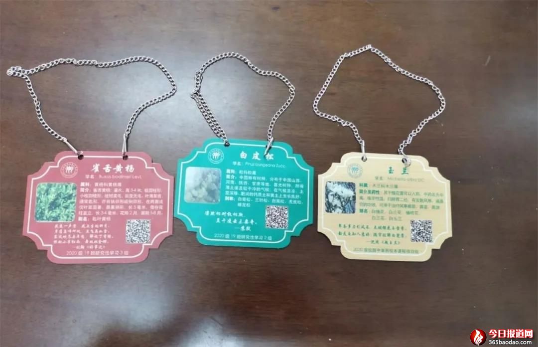 微信圖片_20210512044741.jpg