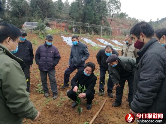 衡陽市供銷合作總社為泉湖鎮(zhèn)小江村貧困戶送果苗送技術(shù)624_副本.jpg