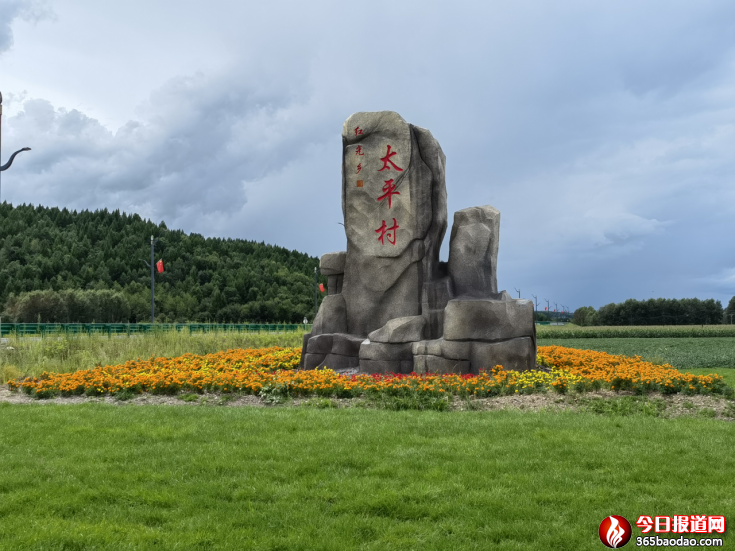 紅光鄉(xiāng)太平村新聞稿件(補充后) - 復件20.png