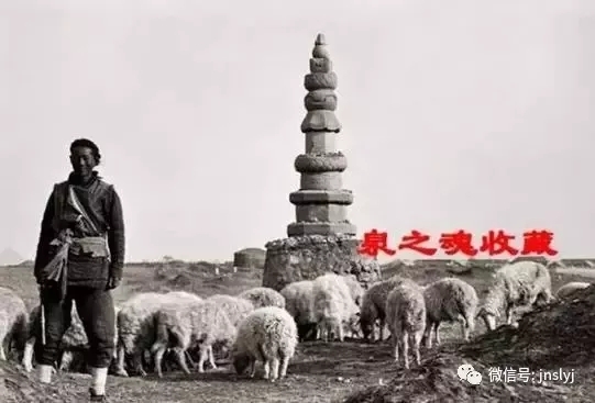 你肯定沒(méi)有見(jiàn)過(guò)這樣的濟(jì)南！ - 舜網(wǎng) - 3ed74d8292114262be258e0aeeeb3f9a_th.webp.jpg