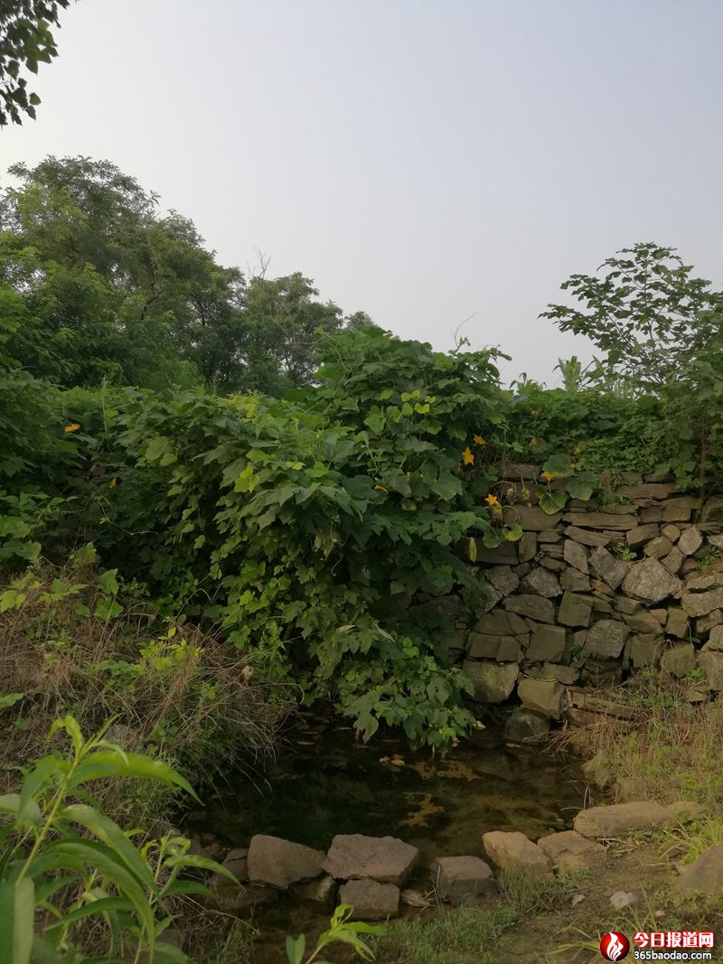 黃河自魚山腳下流過_副本.jpg