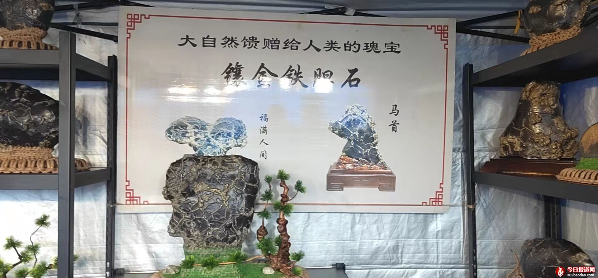 微信圖片_20220303071856.jpg