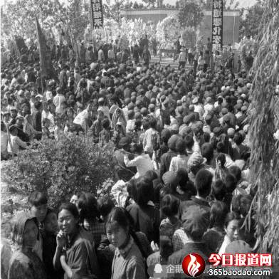 蘭考人民的貼心人769.png