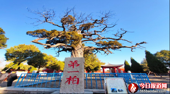 王青蘭《大汶河從這里流向遠方》3844.png